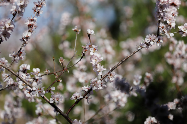 aec379310a55b319ebc4dbea35ff9526cffc1f17b9ac (2).jpg aec379310a55b319ebc4dbea35ff9526cffc1f17b9ac (2).jpg