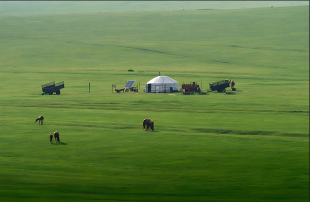 image001.jpg image001.jpg