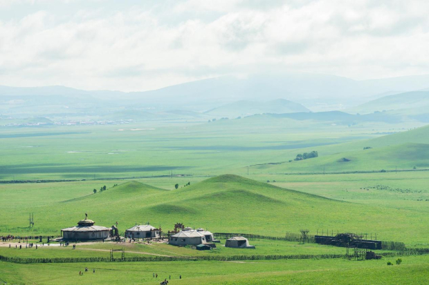 image003.jpg image003.jpg